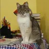 Отзыв от Лия Коршунова